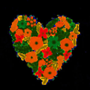 Meet your Posher, Marie